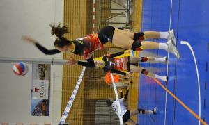WSC VOLLEYBALL 2018 3